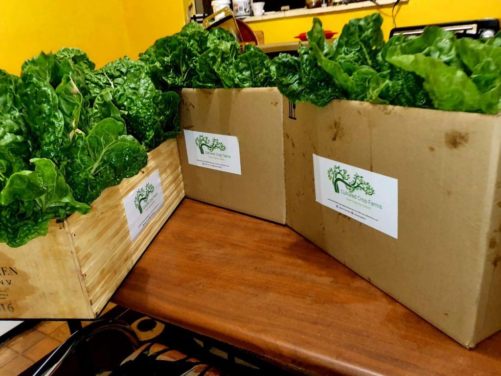 Fresh from the soil, straight to your table
