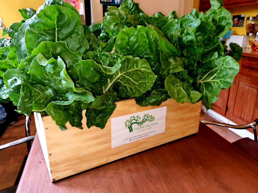 Fresh from the soil,straight to your table